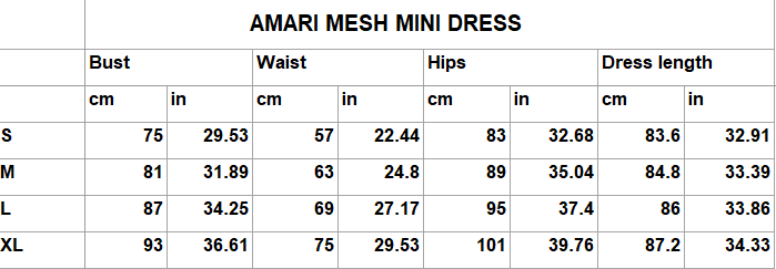 Amari Mesh Mini Dress - Black
