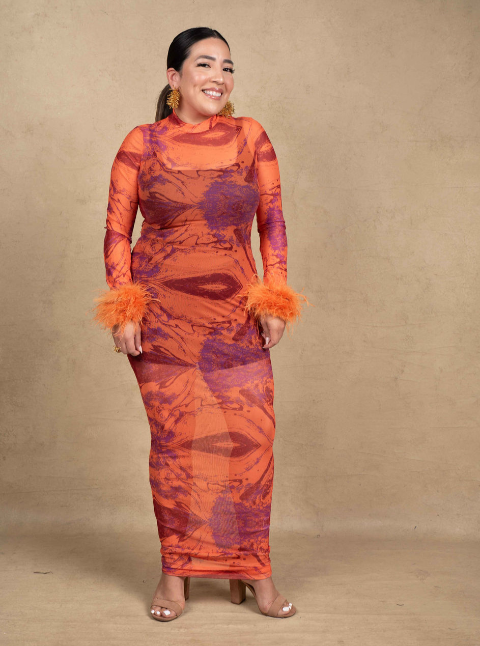 Amari Mesh Maxi Dress with Feathers